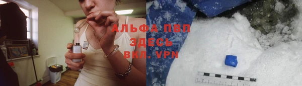 стаф Алексеевка