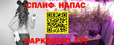трава Лесосибирск