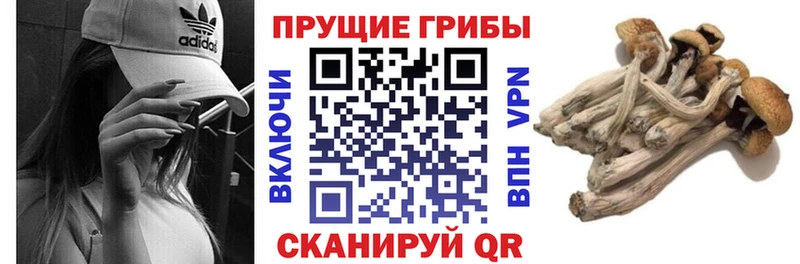 Псилоцибиновые грибы Magic Shrooms  купить наркотики сайты  Киржач 