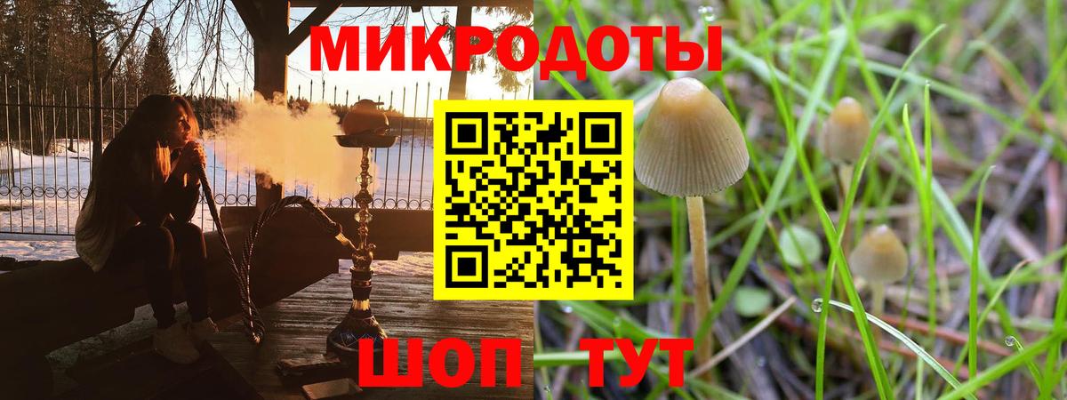 Псилоцибиновые грибы MAGIC MUSHROOMS Киржач